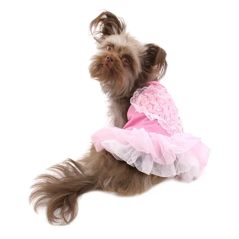 Tutu Heart Dog Dress by Parisian Pet - Pink X-Small