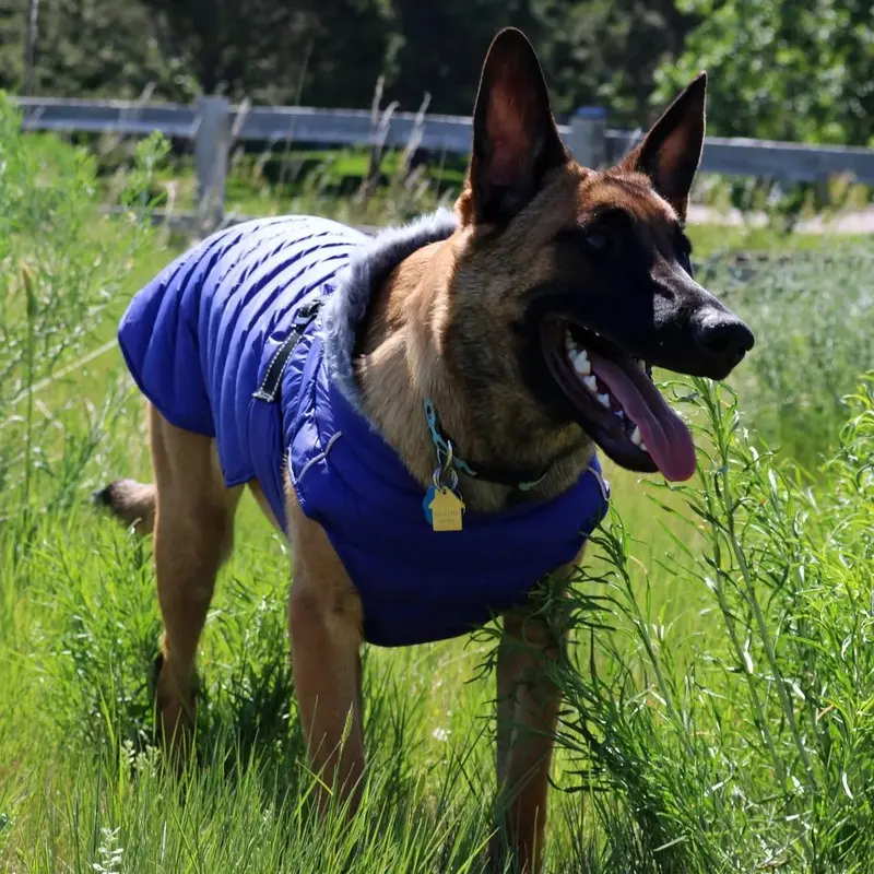 Alpine Extreme Weather Puffer Dog Coat by Doggie Design - Blue X-Small - Out of Stock!