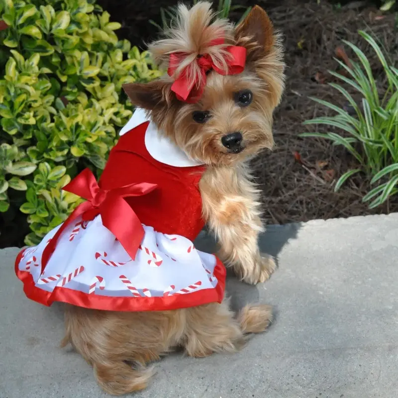 Holiday Dog Harness Dress by Doggie Design - Candy Canes X-Small