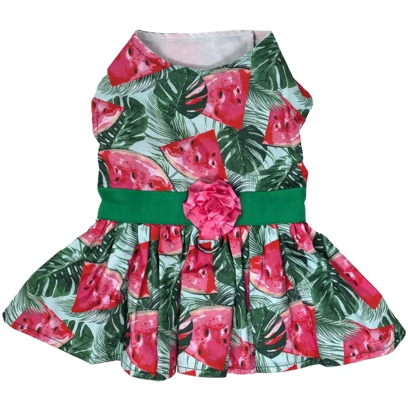 Juicy Watermelon Dog Harness Dress with Matching Leash by Doggie Design X-Small
