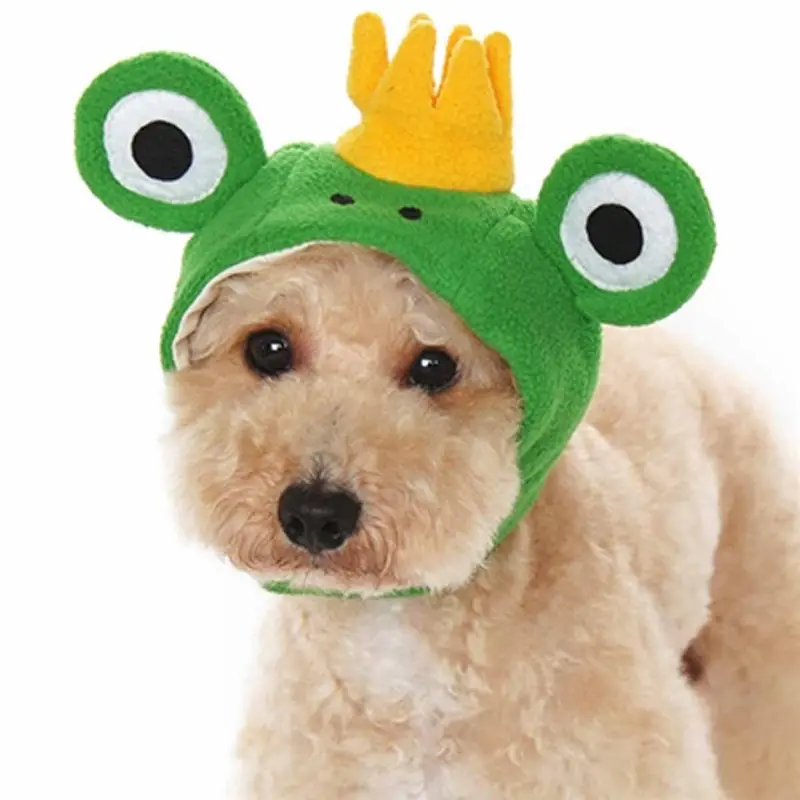 Prince Frog Dog Hat by Dogo X-Small