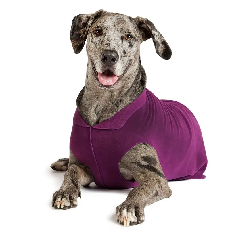 Gold Paw Fleece Dog Jacket - Eggplant Micro Size 2