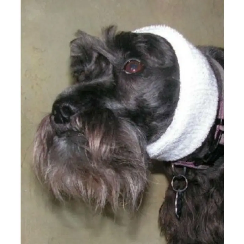 Happy Hoodie Dog Snood - White 2 Pack (1 Large, 1 Small) - Out of Stock!