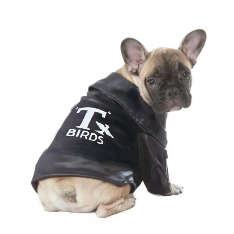 Grease T-Birds Jacket Dog Costume by Rubies Small - Out of Stock!