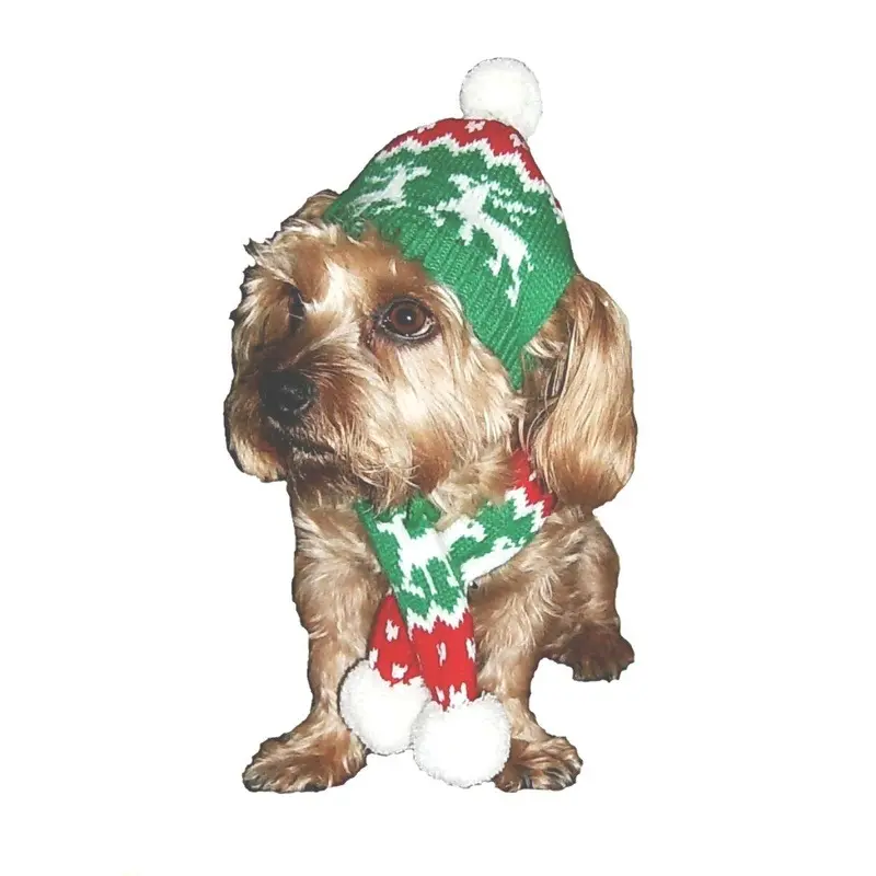 Dallas Dogs Holiday Reindeer Dog Hat and Scarf Small
