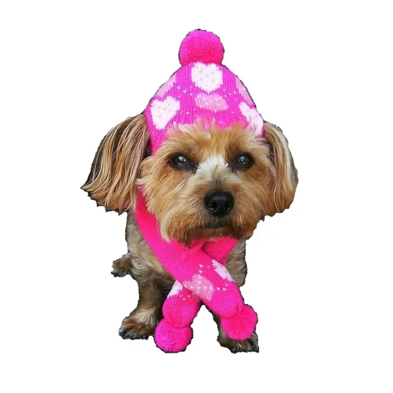 Dallas Dogs Pink Hearts Dog Hat and Scarf Small