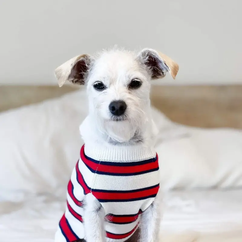 Dog Threads Rugby Dog Sweater - Red & Blue Striped Medium