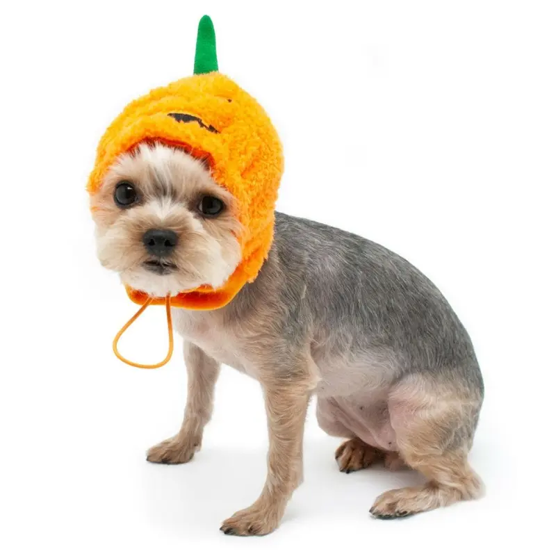 Jack-O Halloween Dog Hat by Dogo Medium
