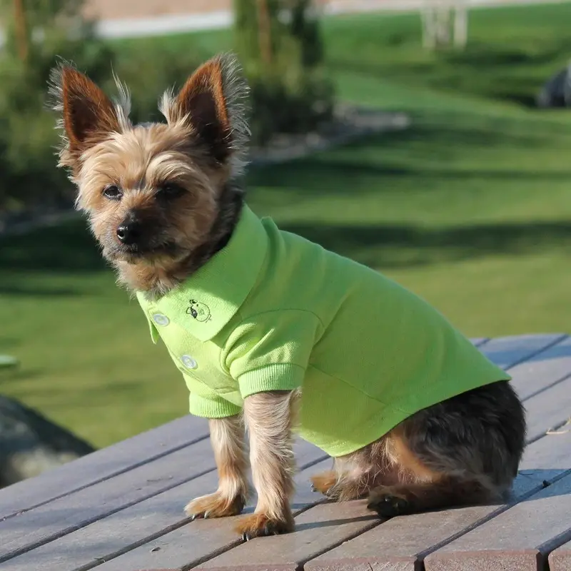Solid Dog Polo by Doggie Design - Green Flash X-Small
