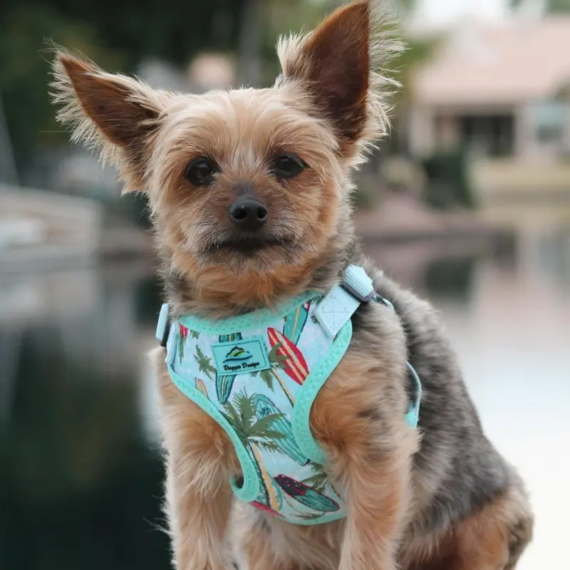Wrap and Snap Choke Free Dog Harness by Doggie Design - Surfboards and Palms X-Small
