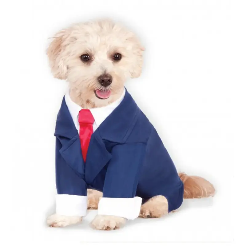 Business Suit Dog Costume - Navy Small - Out of Stock!