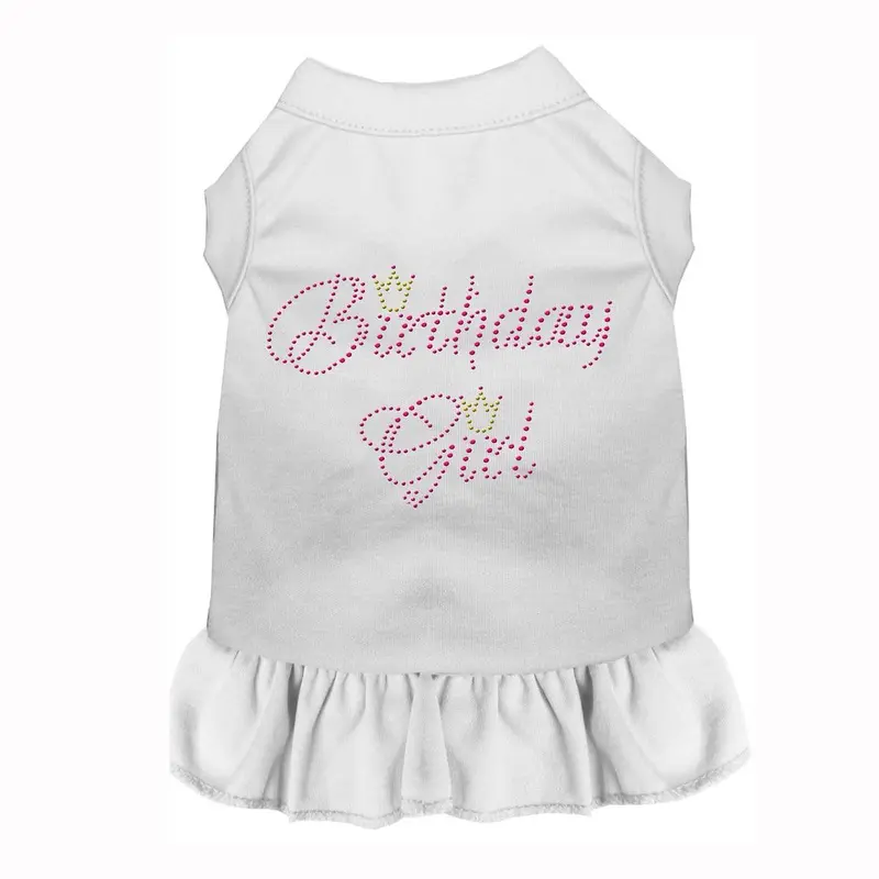 Birthday Girl Rhinestone Dog Dress - White Small