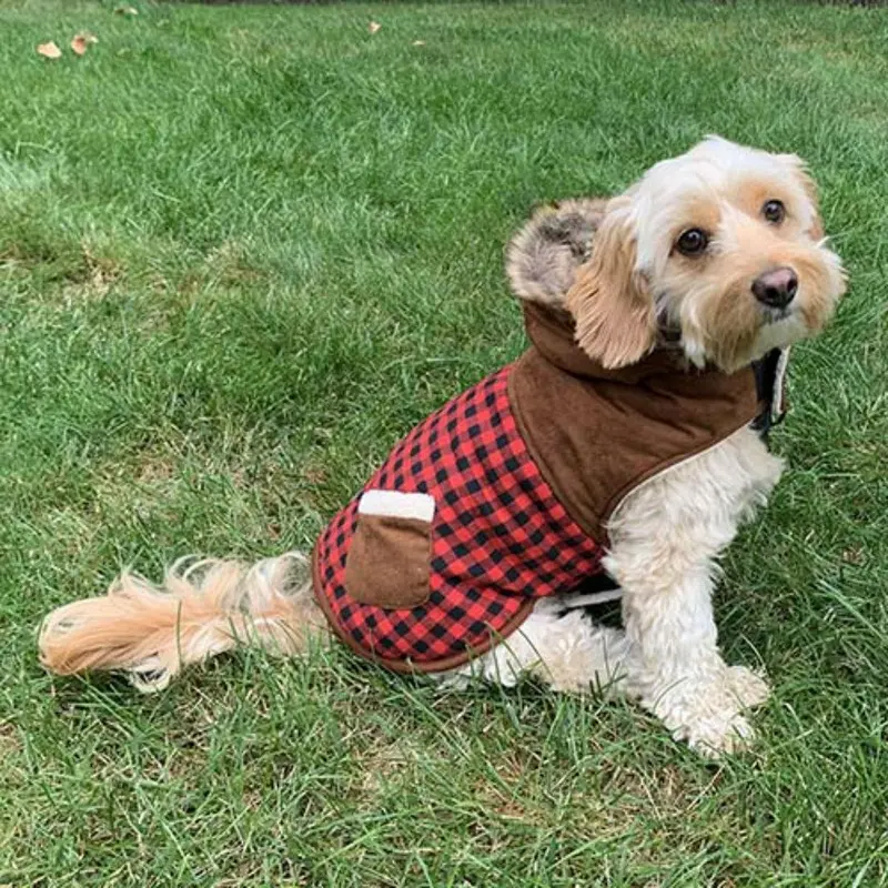 Petrageous Jackson Field Suede and Fur Dog Coat - Red/Brown X-Small