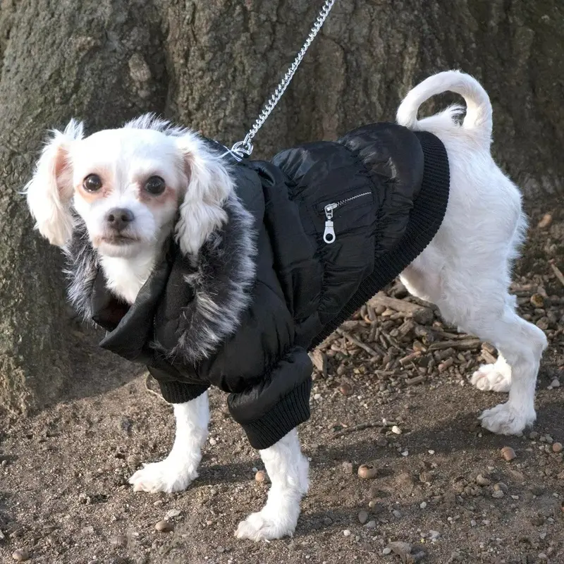 Pet Life Metallic Ski Parka Dog Coat - Black X-Small