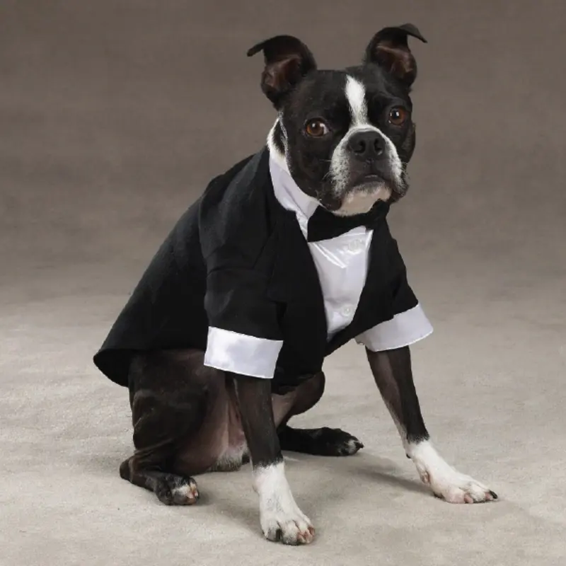 East Side Collection Yappily Ever After Wedding Groom Dog Tuxedo Medium