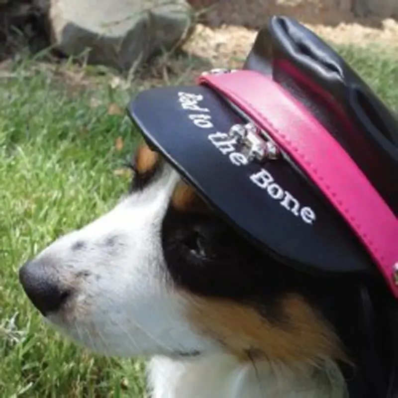 Doggles Bad to the Bone Biker Dog Hat - Black with Magenta Trim Large
