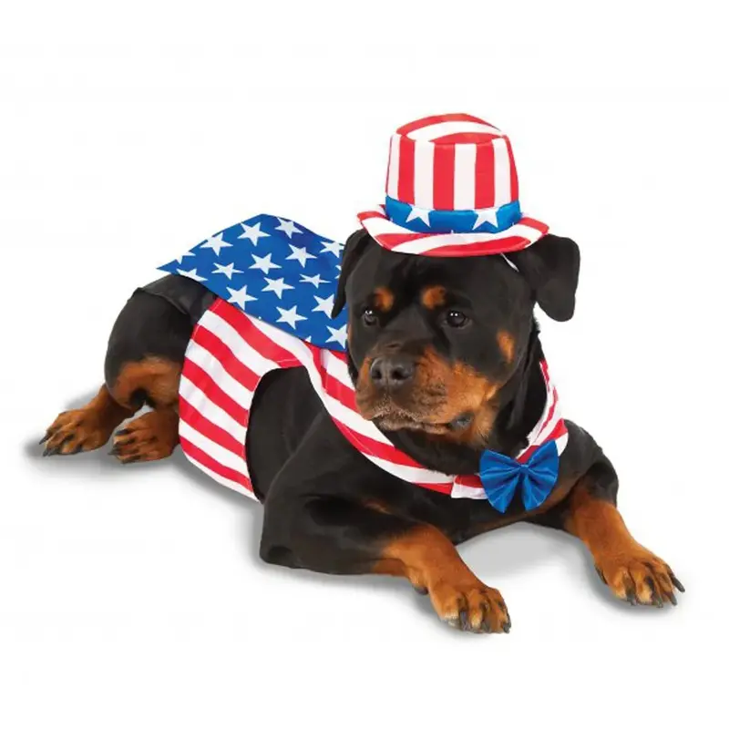 Big Dog Uncle Sam Dog Costume 2X-Large