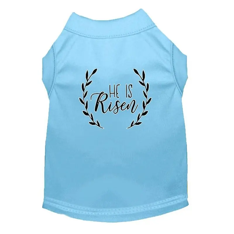 He Is Risen Screen Print Dog Shirt - Baby Blue Small