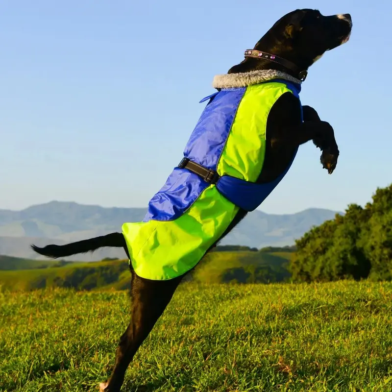 Alpine All-Weather Dog Coat by Doggie Design - Blue and Green X-Small