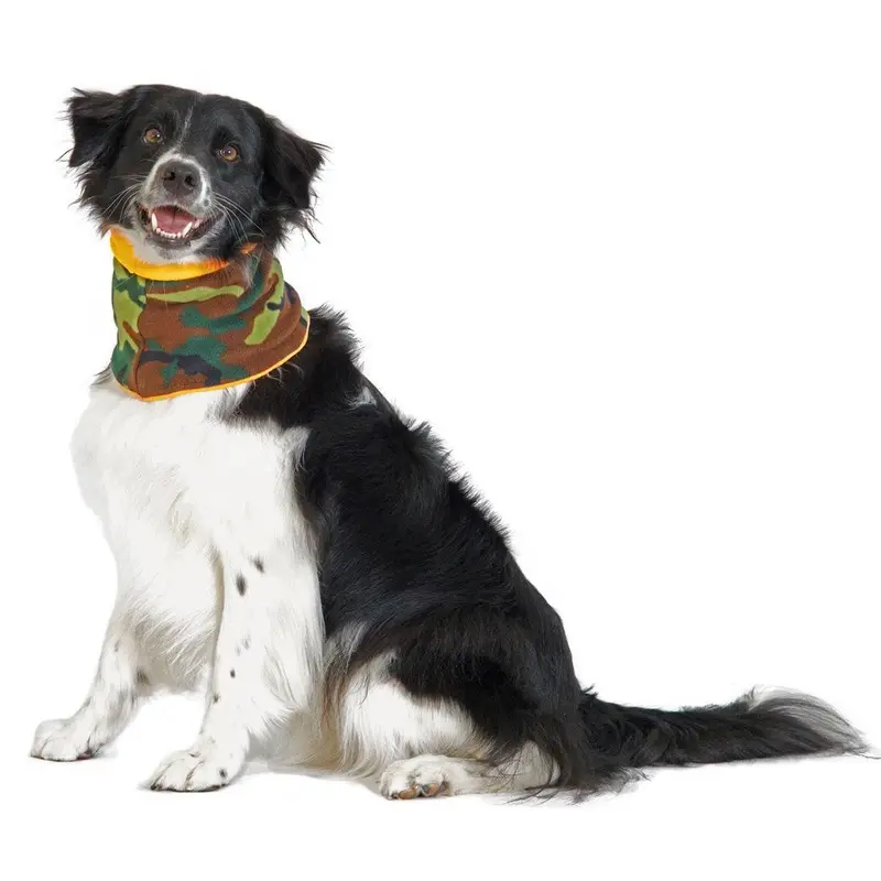 Gold Paw Dog Snood - Camo/Blaze X-Large
