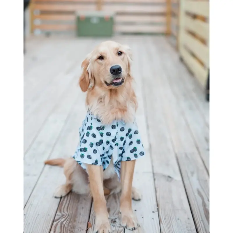Hawaiian Camp Shirt by Doggie Design - Blackberries XX-Small