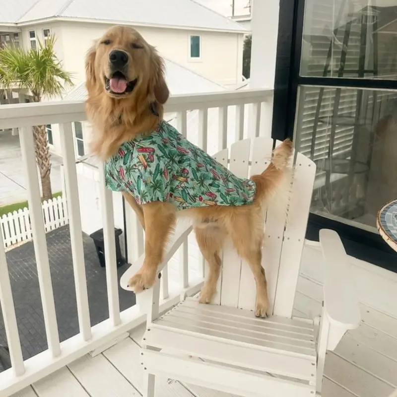 Hawaiian Camp Shirt by Doggie Design - Surfboards and Palms XX-Small