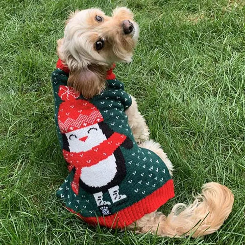 Petrageous Lucky's Penguin Dog Sweater - Green Large