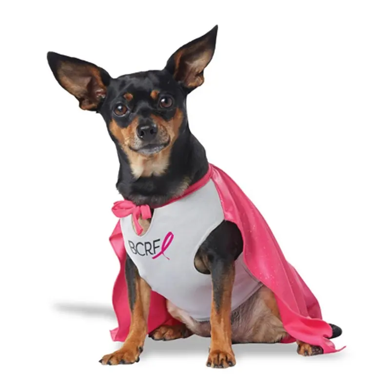 My BCRF Hero Dog Costume - Pink X-Small