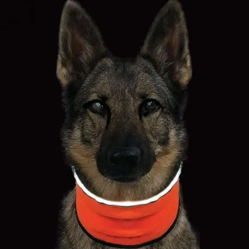 Muttluks MuTTravel MuTTravel ViziNek Dog Gator - Orange Small - Out of Stock!