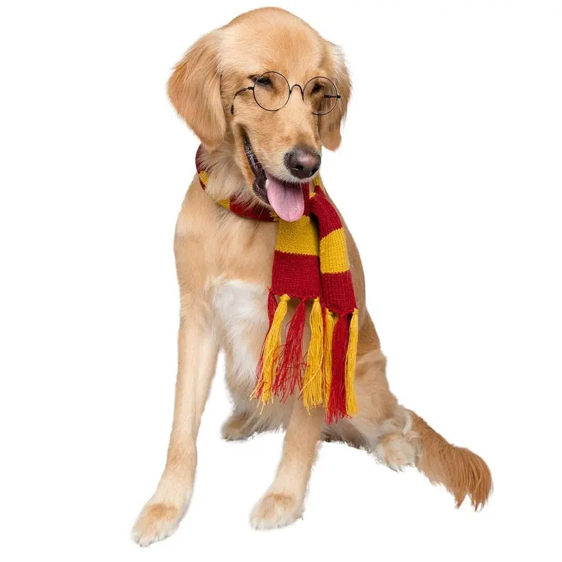 Pet Krewe Hipster Wizard Dog Scarf