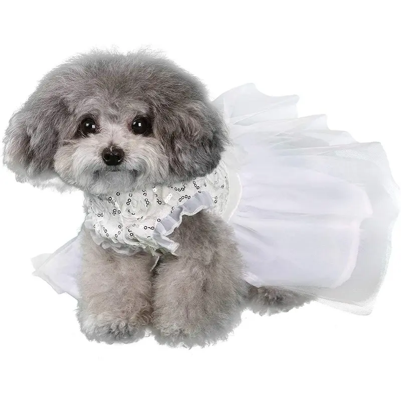 Pooch Outfitters Aurora Party Dog Dress - White XX-Small