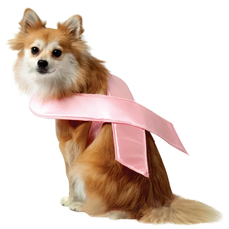 Rasta Imposta Pink Ribbon Dog Costume Medium