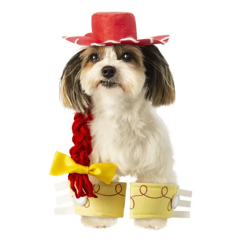 Toy Story Jessie Pet Costume Accessory Set Small/Medium