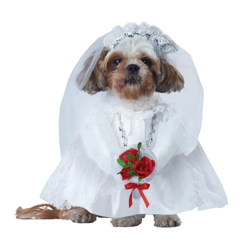Puppy Love Dog Costume - Bride X-Small - Out of Stock!