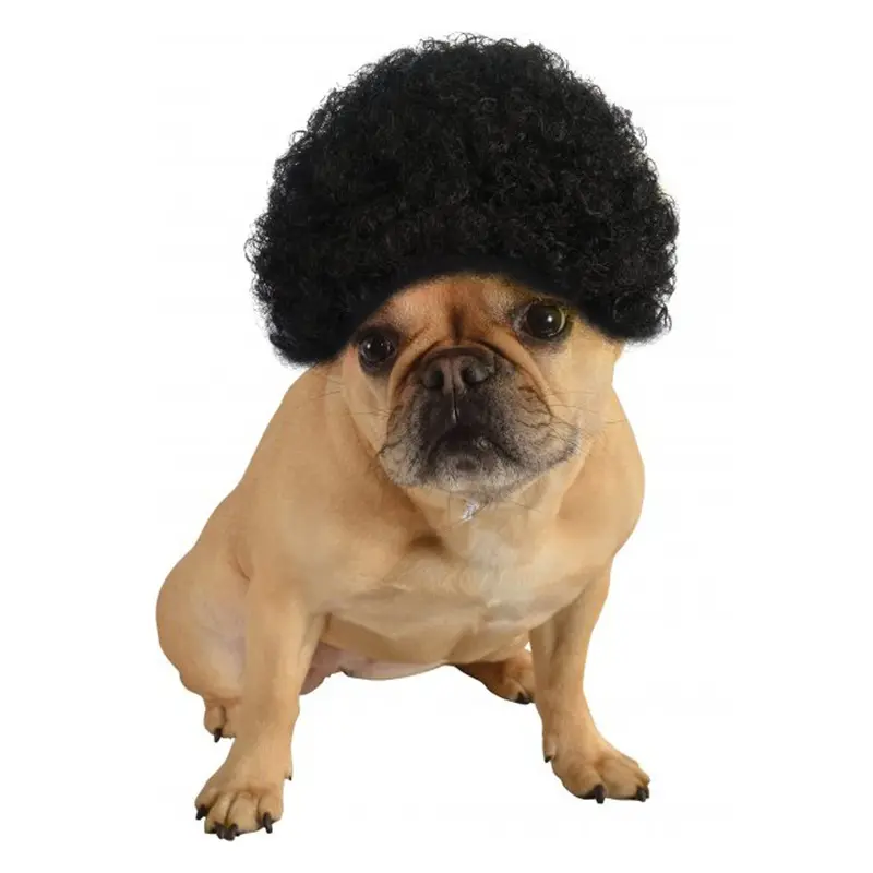 Afro Wig Dog Costume - Black Small/Medium - Out of Stock!