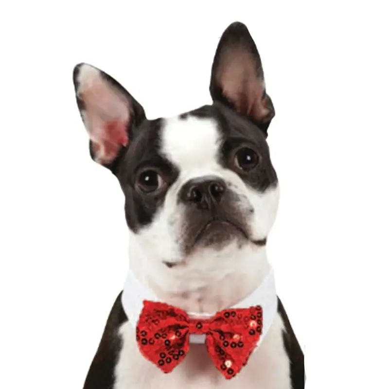 Aria Canine Royale Bowtie - Red Sequin Small