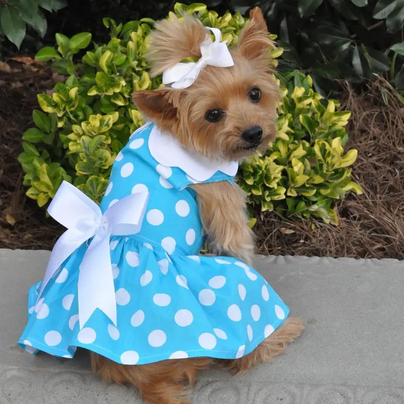 Blue Polka Dot Dog Dress with Matching Leash by Doggie Design X-Small