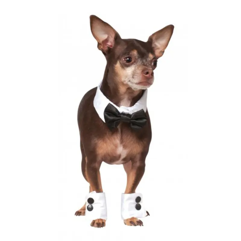 Debonair Dog Bow-tie and Cuff Set Small/Medium