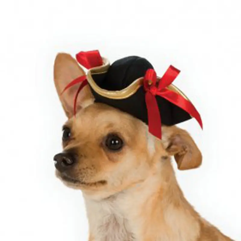 Halloween Pirate Girl Dog Hat by Rubies Small/Medium - Out of Stock!