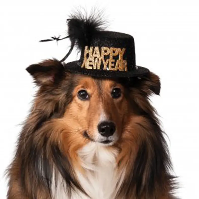 Rubies Happy New Year Dog Hat - Black Small/Medium