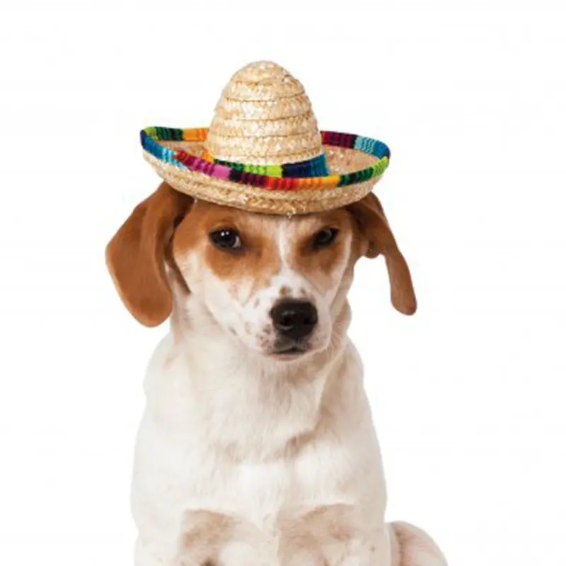 Sombrero Dog Hat by Rubies - Multi-Colored Small/Medium - Out of Stock!