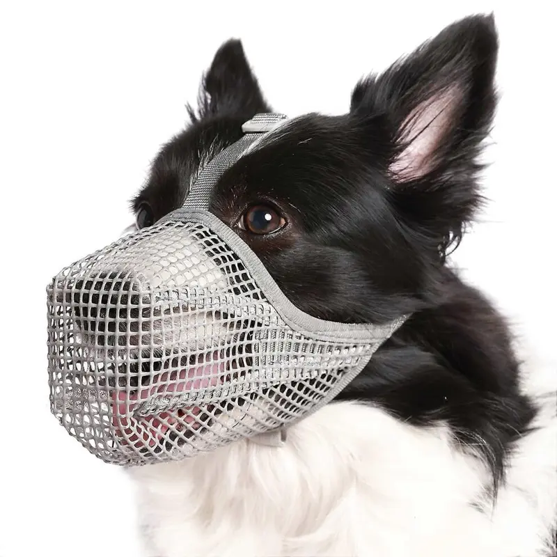 Blue (S, Royal ) Dog Muzzle, Soft Mesh Mouth For, Dogs, Breathable Adjustable Muzzle, Bite, Chew, Remove And Toxic Bait, Pants And Small