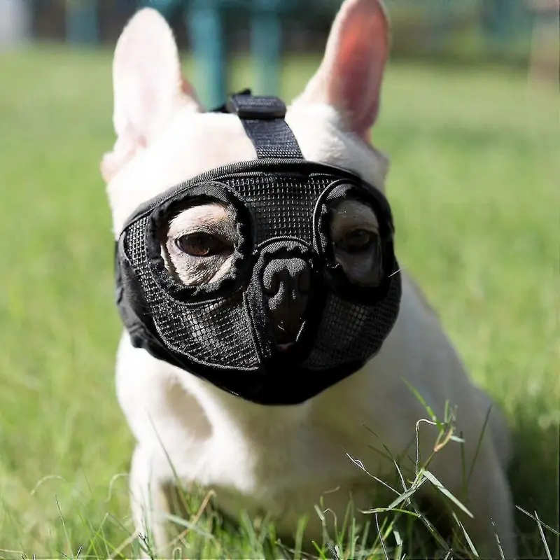 Kikidex (M, One ) Adjustable Breathable Dog Muzzle For English Bulldog, French Bulldog, Pekingese, Shih-Tzu, Pug 48Cm