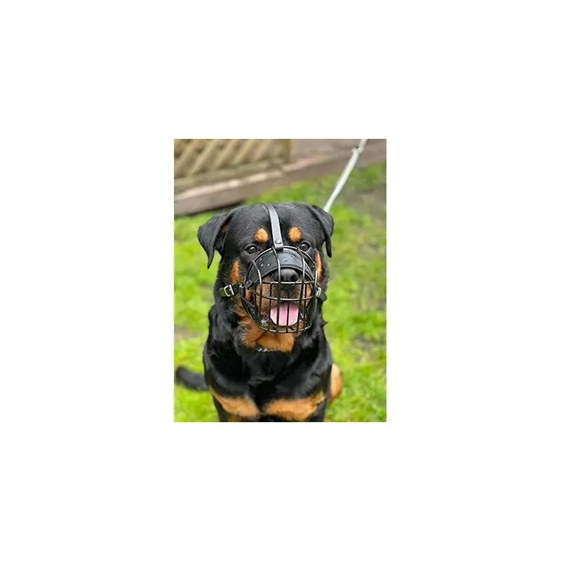 L&J Pets Uk Golden/Black Strong Wire Metal Muzzle Basket Dog Muzzle Rottweiler,Mastiff Retriever & Other (R3, Black/ Leather)