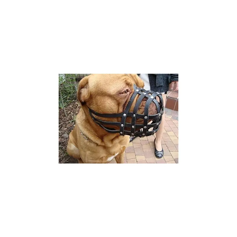 L&J Pets Uk Light/Bordeaux/Brown New Genuine Leather Dog Muzzle For Dogue De And Bullmastiff And And Other Similar Breeds ( Leather, Db-3)