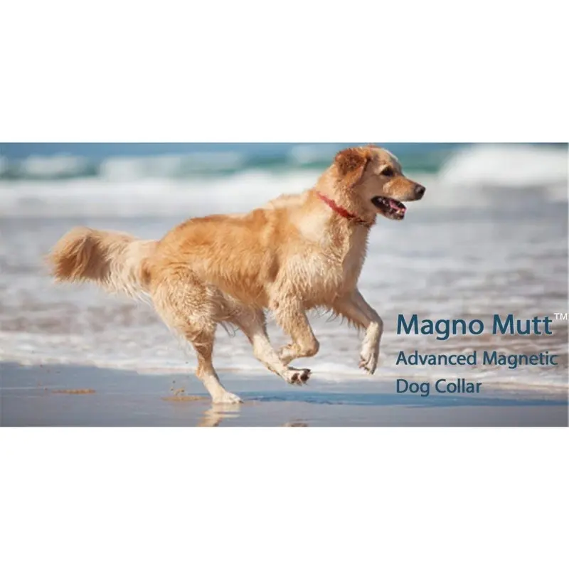 Magno Mutt Red - Advanced Magnetic Dog Collar - Cherry - (19-25 ? - In.). Now With New Metal D Ring Large