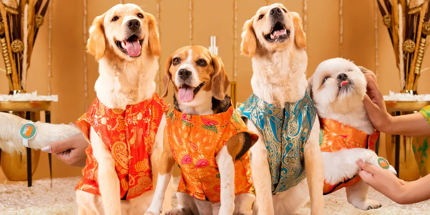 Paws Dress Up | Cute Dog & Cat Clothes, Pet Costumes & Stylish Accessories for Every Occasion